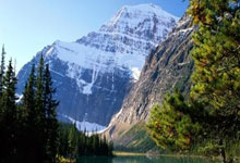 乐鱼体育-奥地利队绝杀中国队，樊振东统治全场